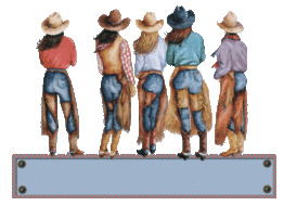 NOVICE &quot; les Jeans &quot;
